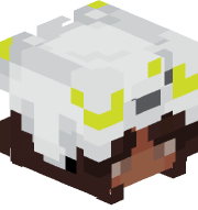 michu2077