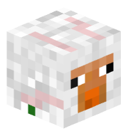 ItzSh33p_