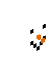 ashtonminer12