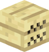 Голова Minecraft — Birch Aquarius