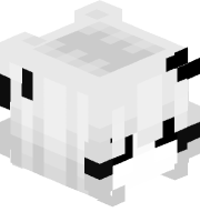Zqivq