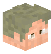 VierWan