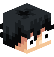 belfortzs