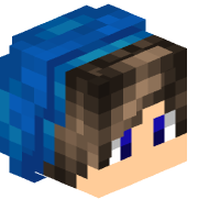 TeunDePleun