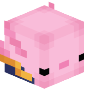 Plaenic