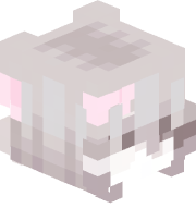 nc4t