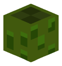 kaamerplant 3D head