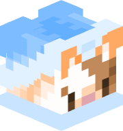 MrKoiCat