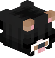 Kinsap