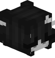 BaBasie43