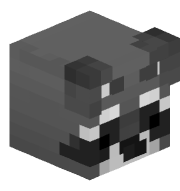 KingRaccoon25