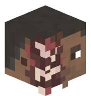 ElHombreDePollo1
