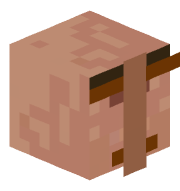 HofiCZ13