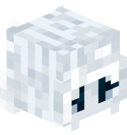 Arcticc
