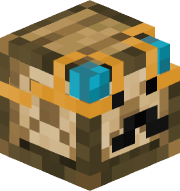 TurtleMaster456_