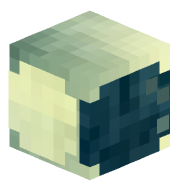 Vicissim
