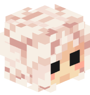 swopy_fla