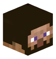 n1ck2par1s