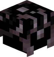 Sham_pooz