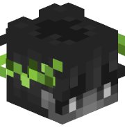j6zz