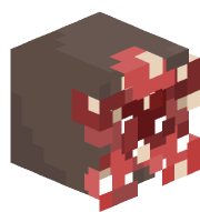 gusepp__