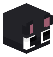 Catbum56