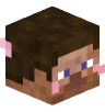 Tete Minecraft de clear_night