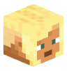 Tete Minecraft de cocautiste