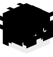 VaspyKozak