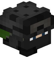 Dinnerbone98794