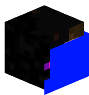 Enderpigman346