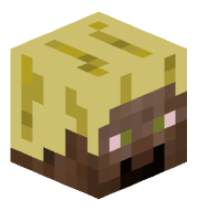 tumerical