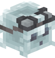 wolf_255