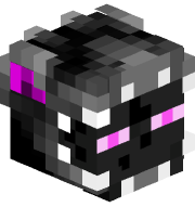 lvashl