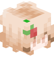notskylarbean