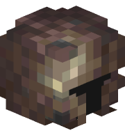 polloshook