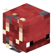 Skarab_MC