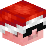 elytranetherite