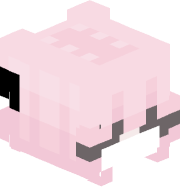 daquaduck
