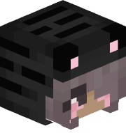 Toini2016