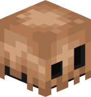 Cawstus