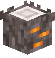 Bee53253