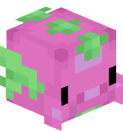 Vaxtii