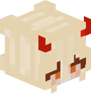 SocketLost