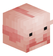 Nonoskk8