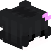 swz08
