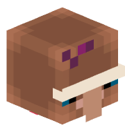 Dr0nut