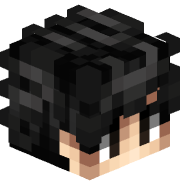 castorrvenner