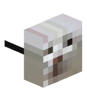 Danert123
