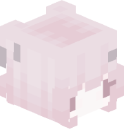 white_13